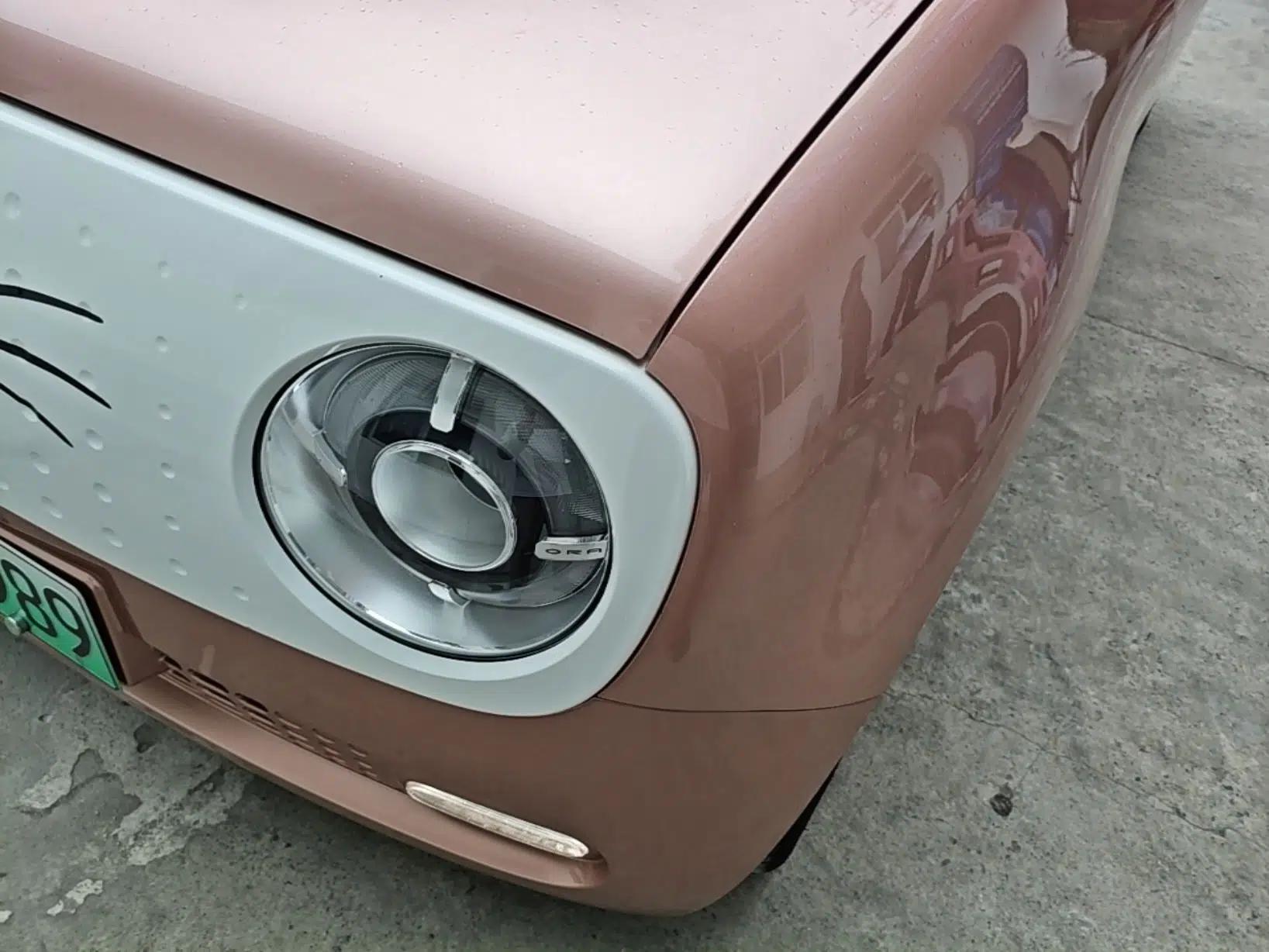 ORA Black Cat 2021 351 km Standard Version — миниатюра 5