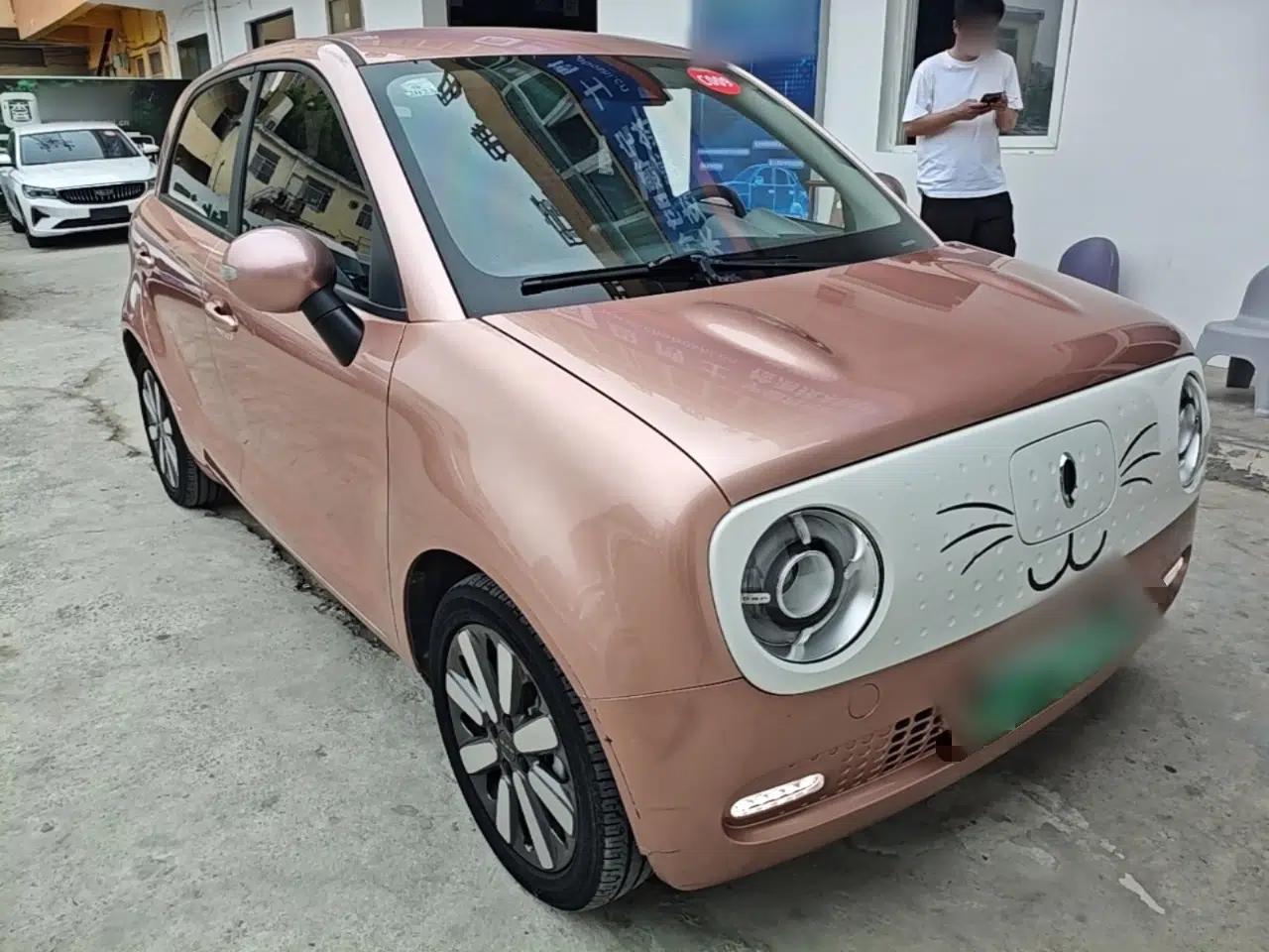 ORA Black Cat 2021 351 km Standard Version — миниатюра 6