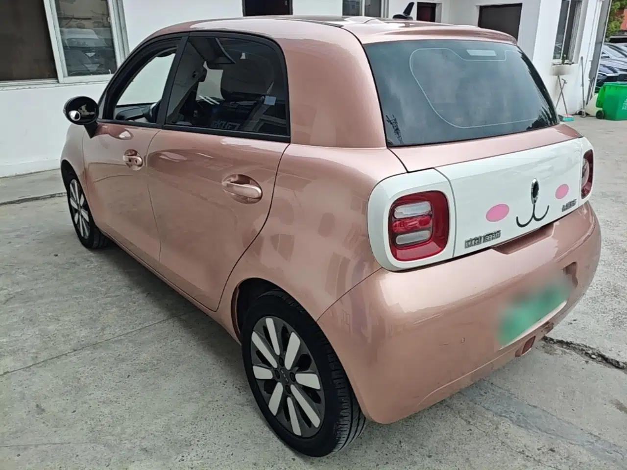 ORA Black Cat 2021 351 km Standard Version — миниатюра 7