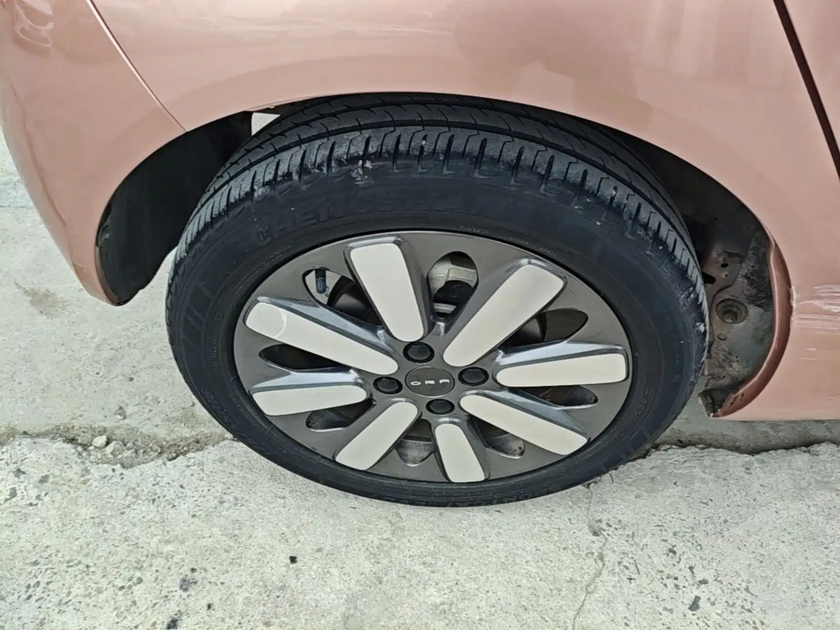 ORA Black Cat 2021 351 km Standard Version — миниатюра 10