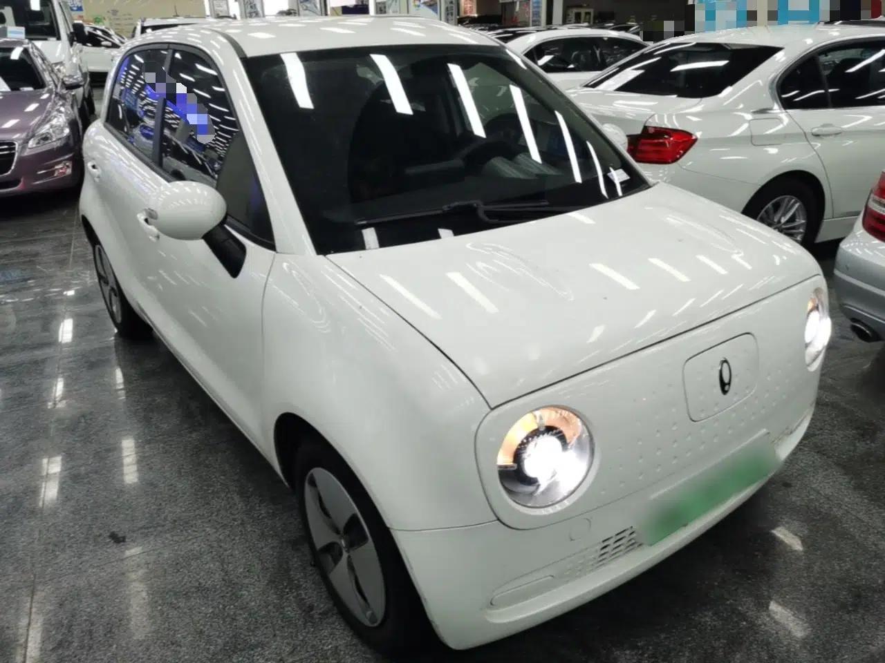 ORA Black Cat 2022 Updated Version 301 km Cute Pet Edition Lithium Iron Phosphate — миниатюра 3