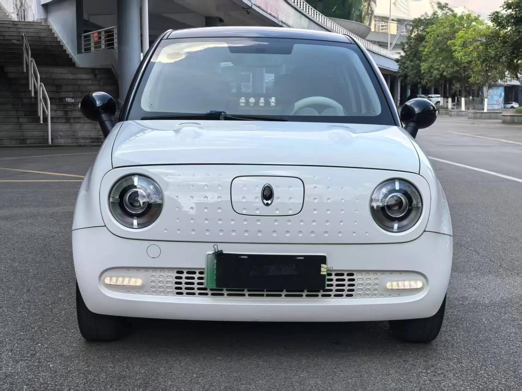 ORA Black Cat 2019 351 km Family Edition — миниатюра 3