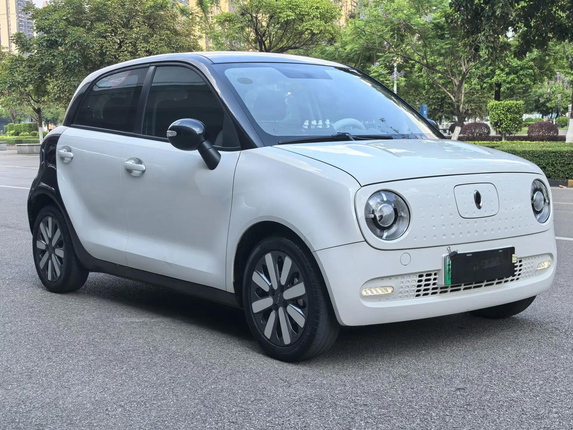 ORA Black Cat 2019 351 km Family Edition — миниатюра 4