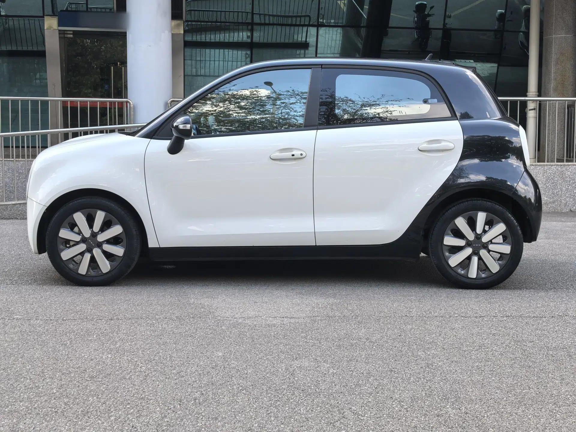 ORA Black Cat 2019 351 km Family Edition — миниатюра 6