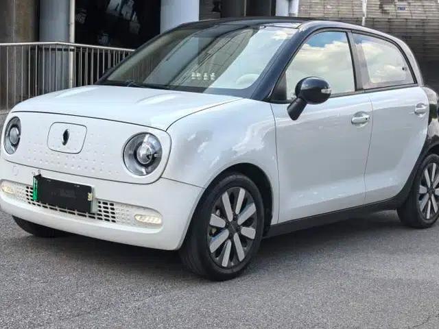 ORA Black Cat 2019 351 km Family Edition