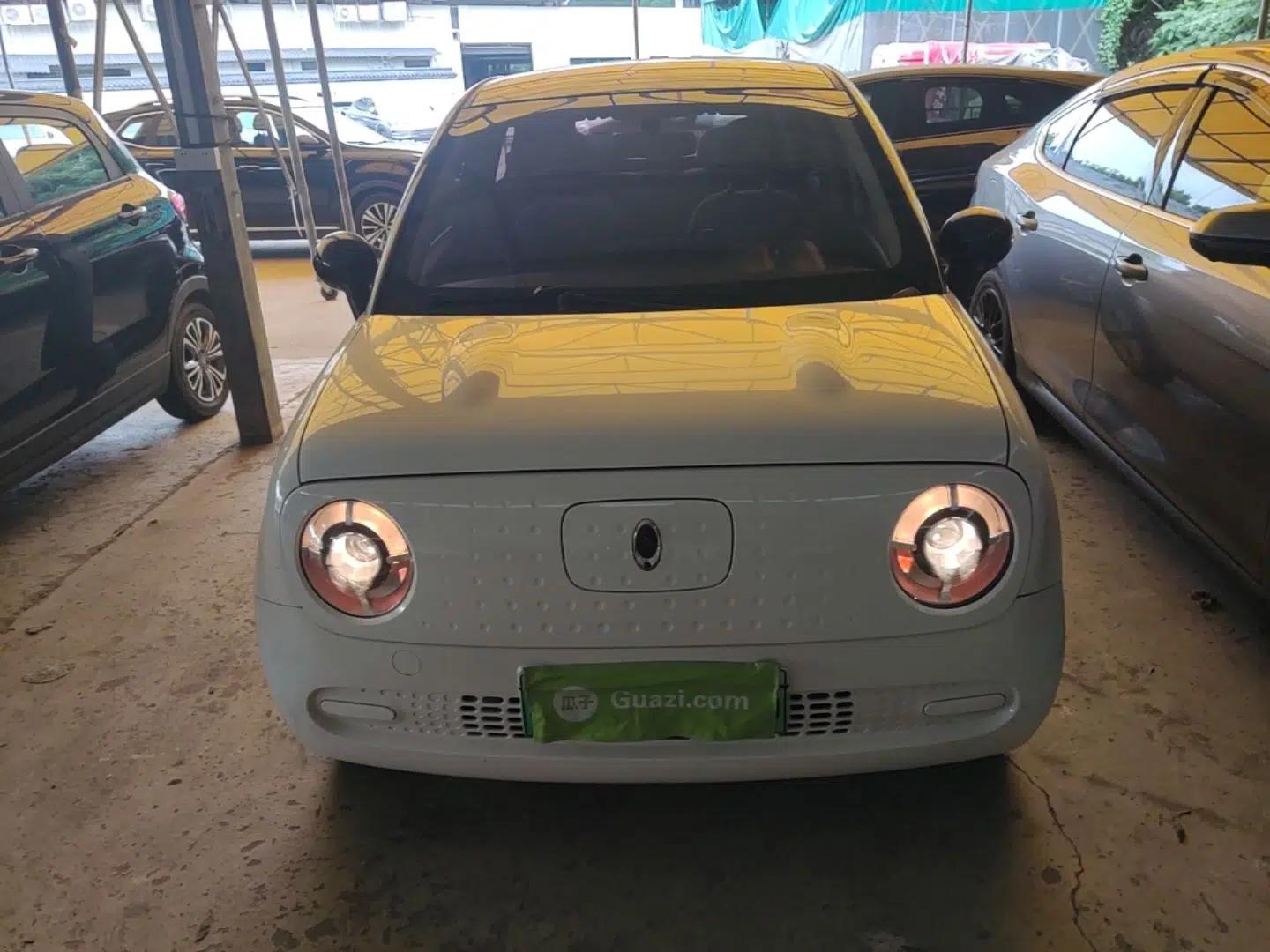 ORA Black Cat 2021 301 km Basic Version — миниатюра 2