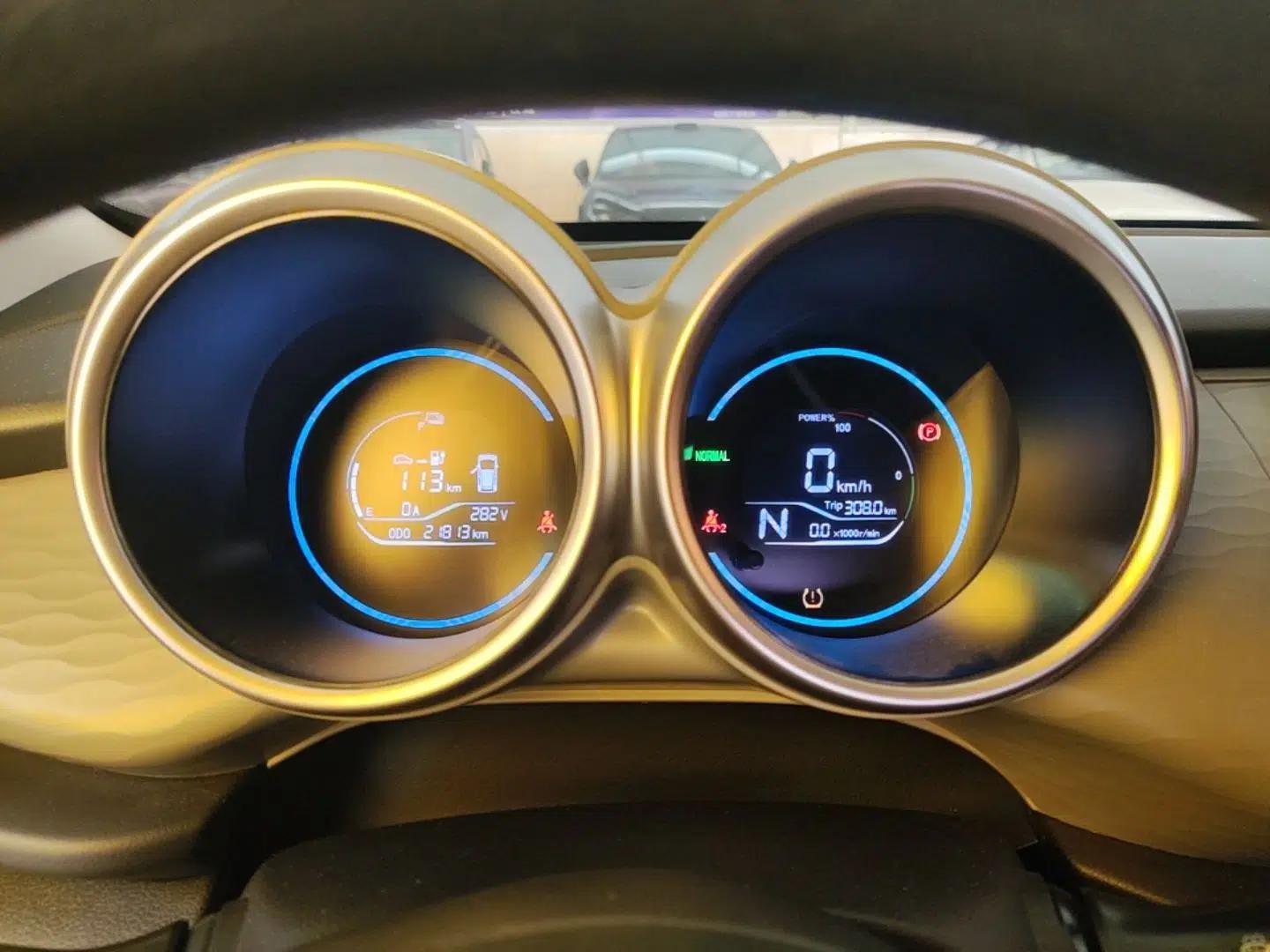 ORA Black Cat 2021 301 km Basic Version — миниатюра 14