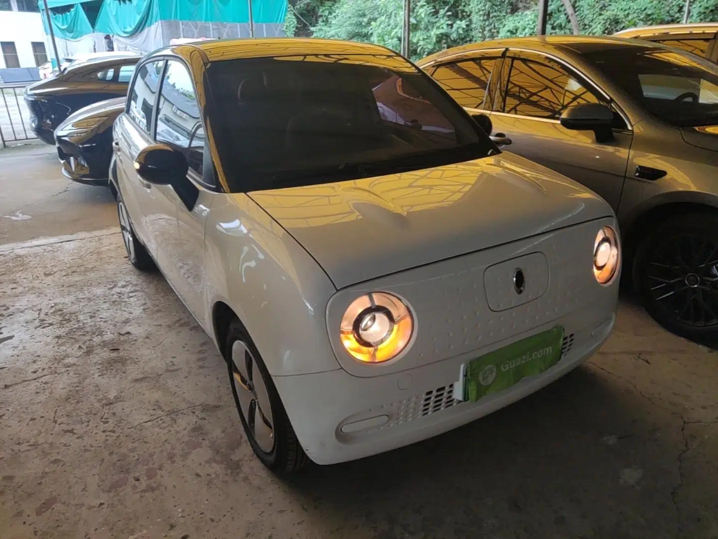 ORA Black Cat 2021 301 km Basic Version — миниатюра 6