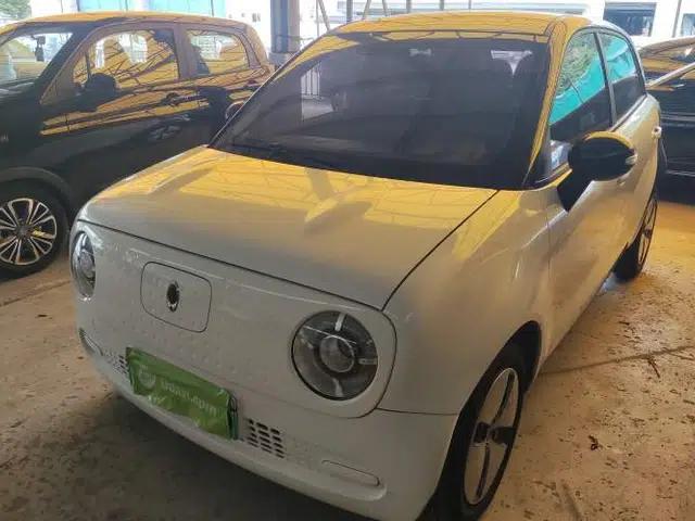 ORA Black Cat 2021 301 km Basic Version