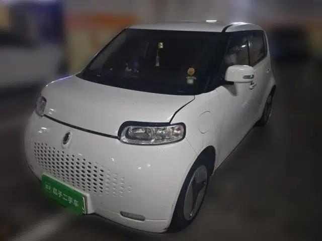 ORA White Cat 2020 360km Standard Version