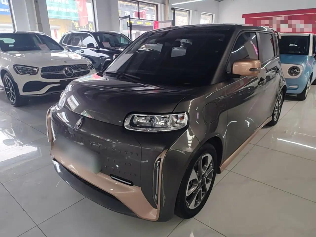 ORA White Cat 2022 Xiaoyue Mao Edition 360 km Luxury Model Lithium NMC — миниатюра 1