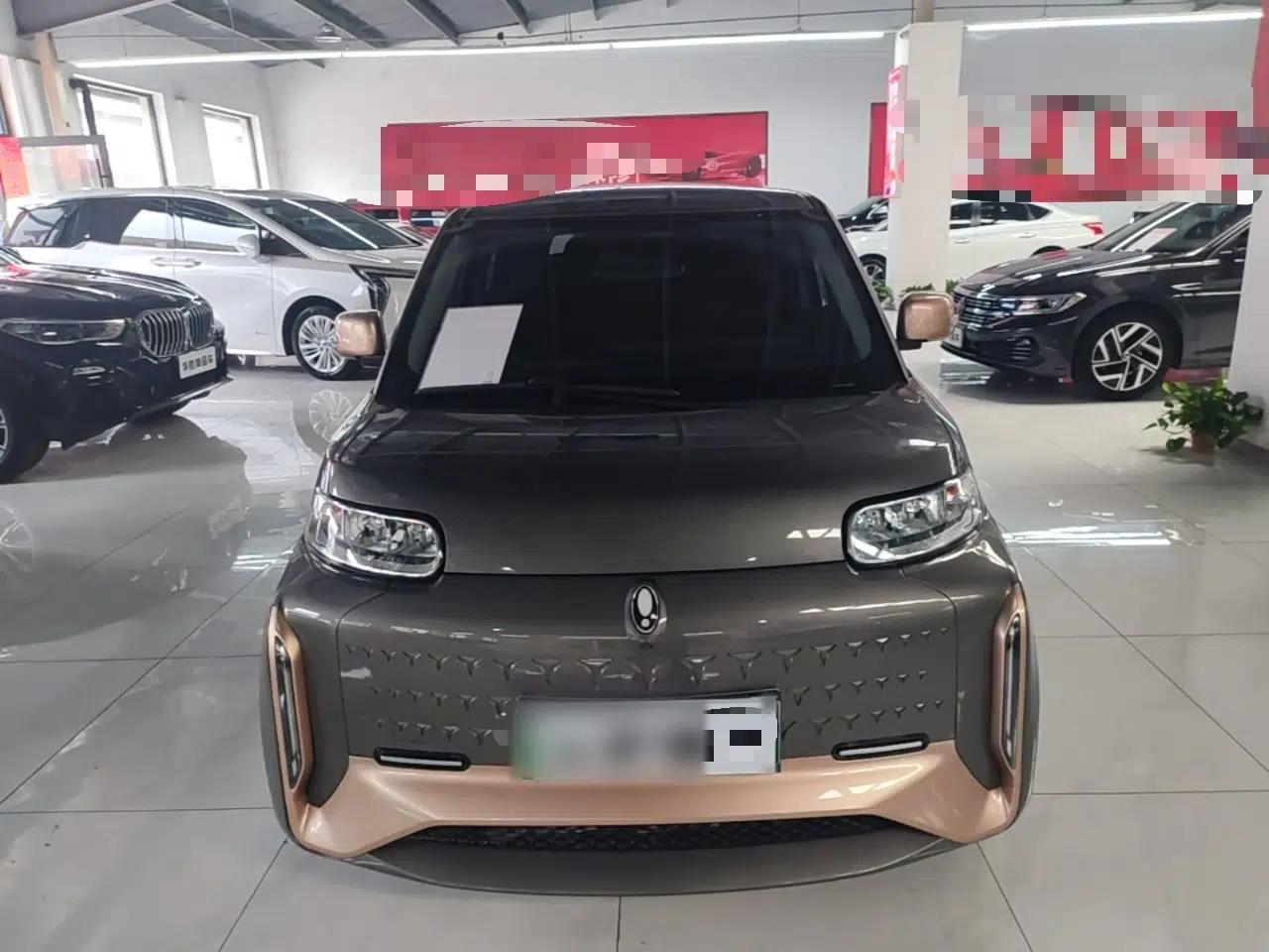 ORA White Cat 2022 Xiaoyue Mao Edition 360 km Luxury Model Lithium NMC — миниатюра 2