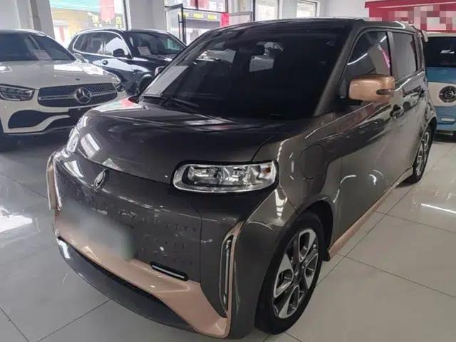 ORA White Cat 2022 Xiaoyue Mao Edition 360 km Luxury Model Lithium NMC
