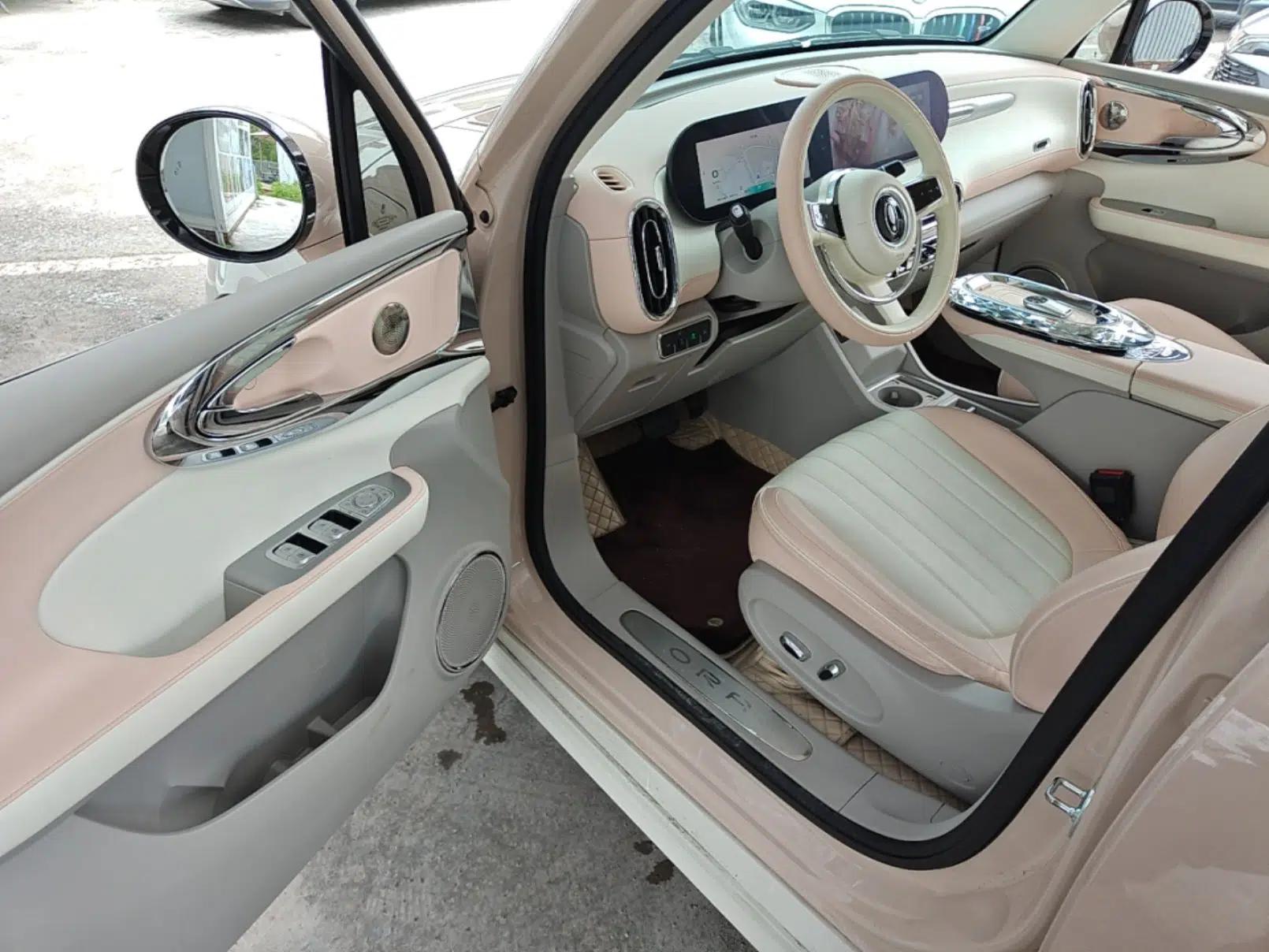 ORA Ballet Cat 2022 401 km Alice Edition — миниатюра 19