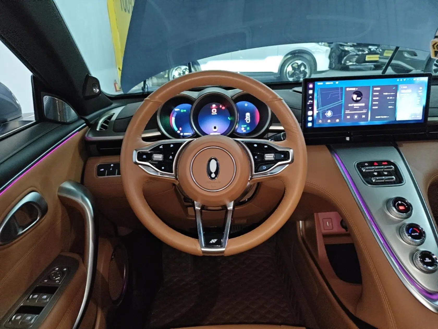 ORA Lightning Cat 2022 555 km Luxury Edition — миниатюра 14