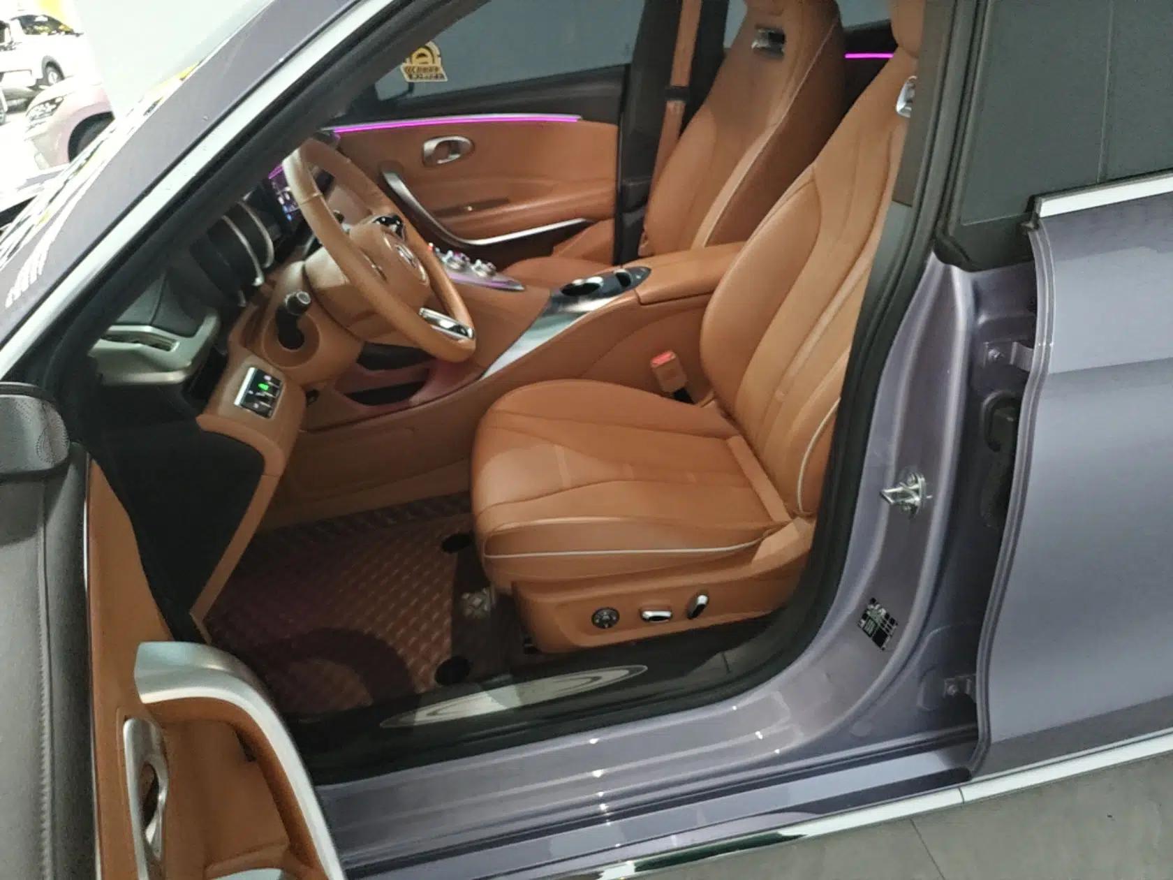 ORA Lightning Cat 2022 555 km Luxury Edition — миниатюра 18