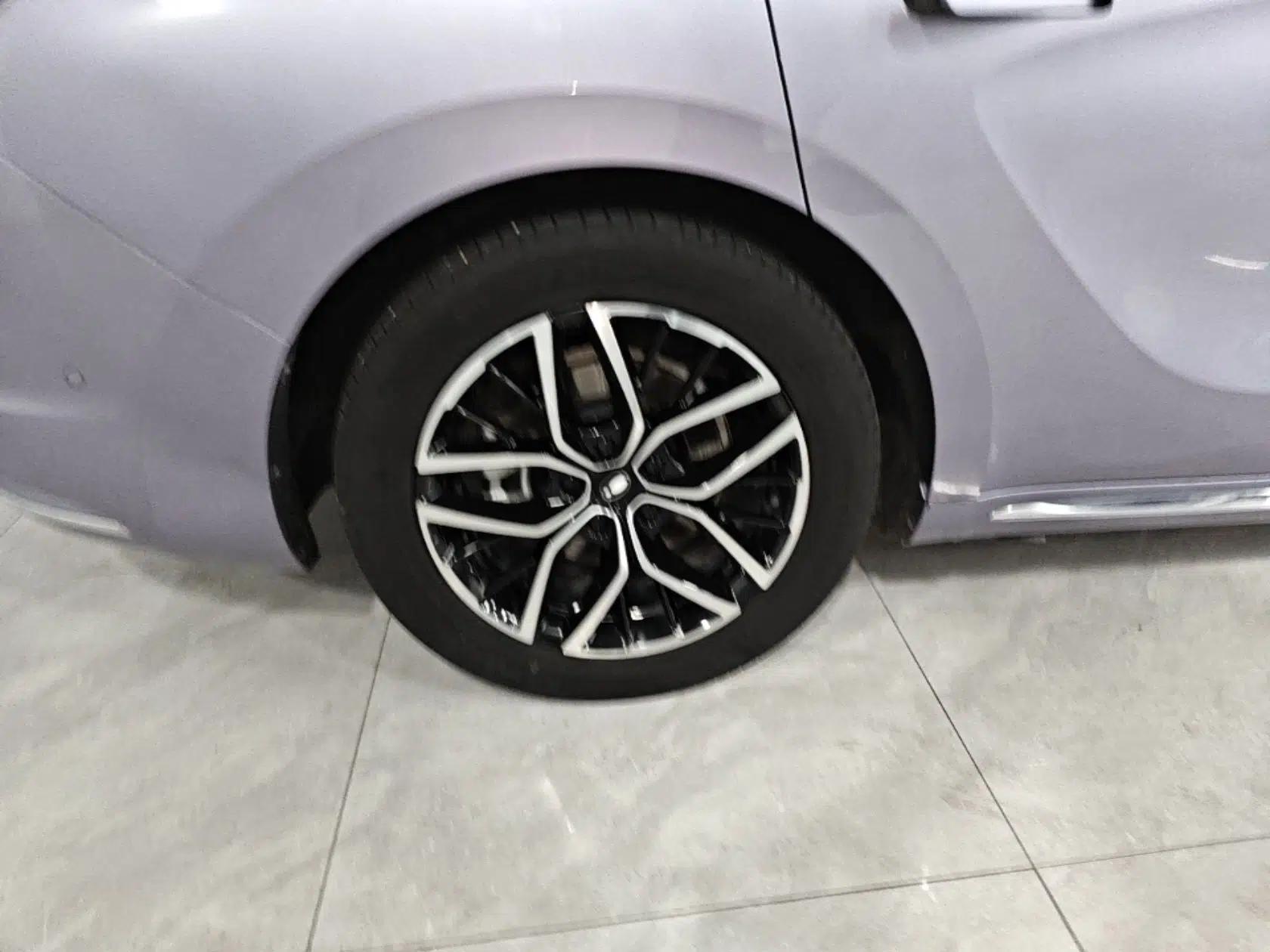 ORA Lightning Cat 2022 555 km Luxury Edition — миниатюра 10