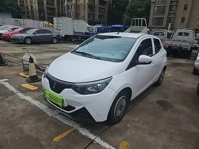 Yizhi EV2 2024 Model 201km Comfort