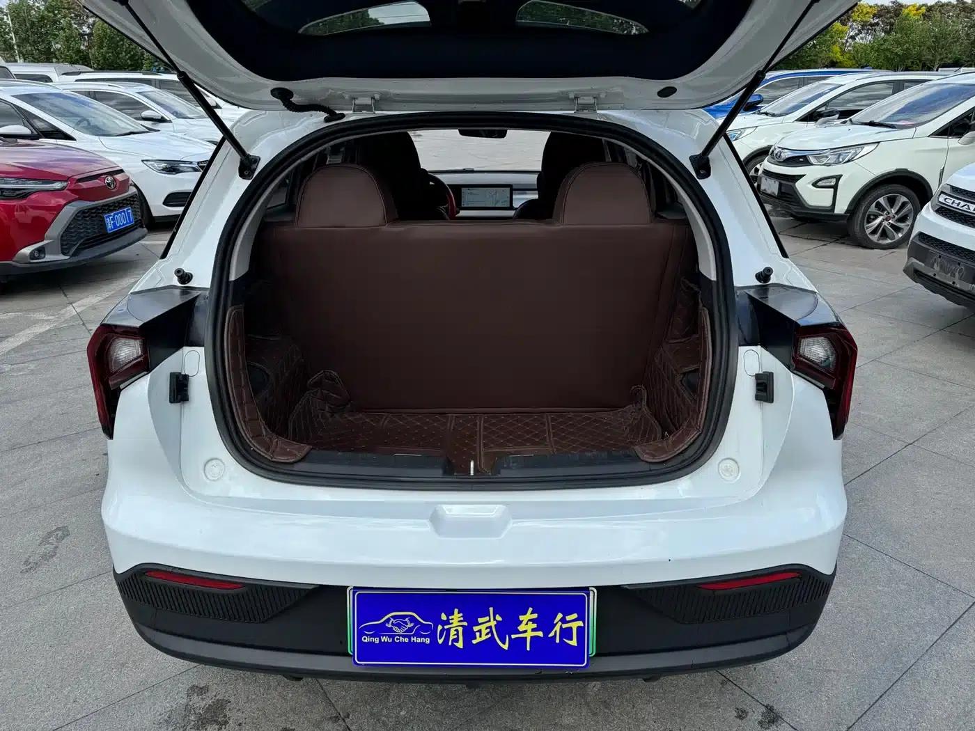 Geely Geometry E Firefly 2022 Model 320KM Cute Tiger 4-Seater — миниатюра 8