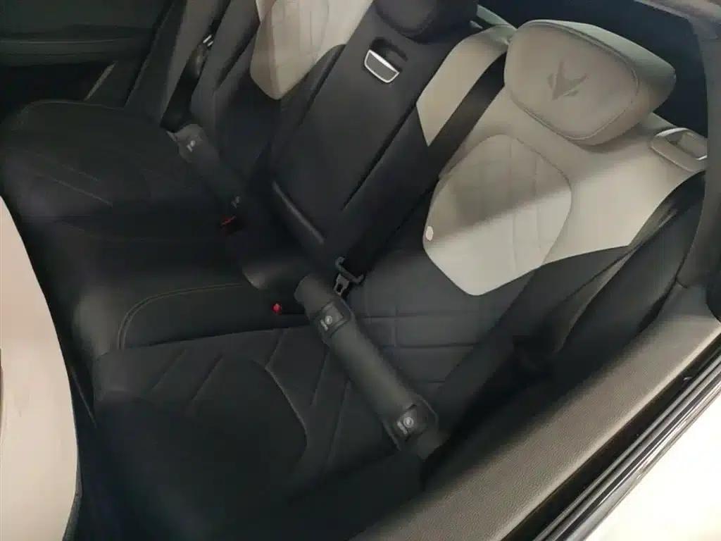 Jihu Alphard S 2023 735E+ Forest Edition 160kW — миниатюра 17