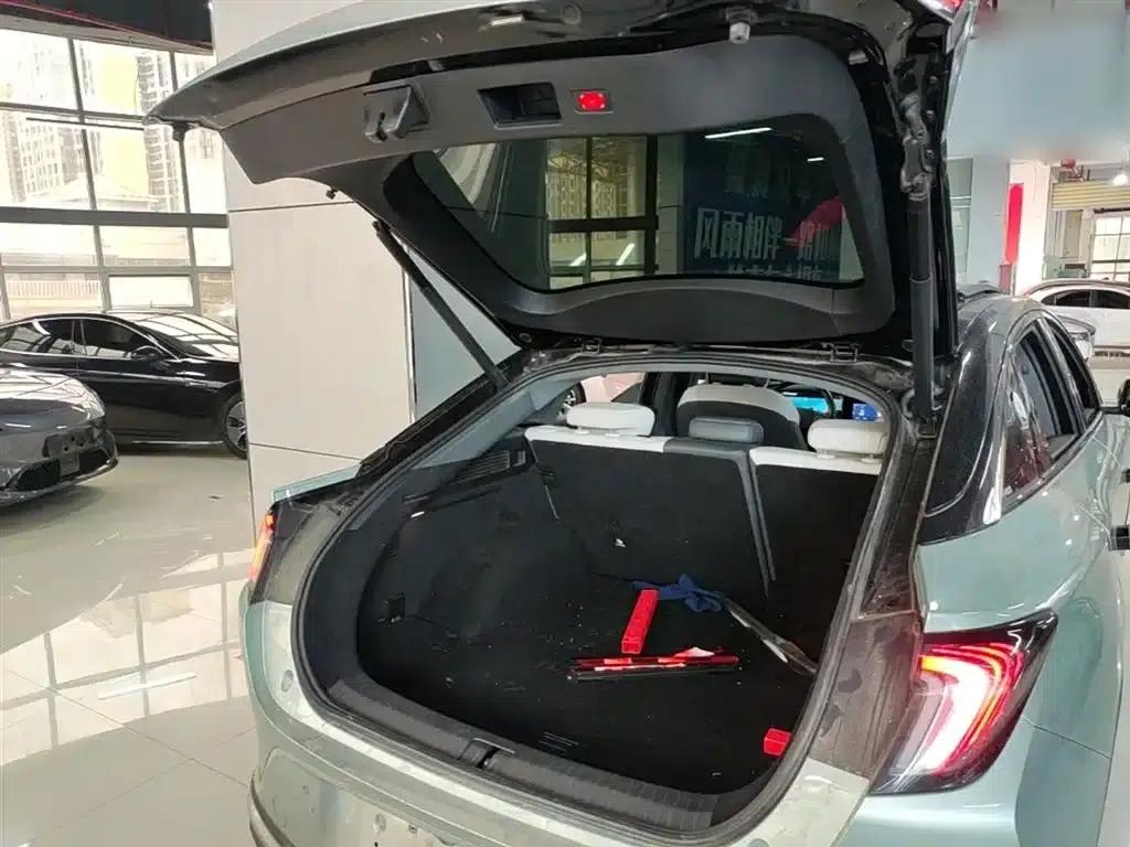 Jihu Alphard S 2023 735E+ Forest Edition 160kW — миниатюра 19