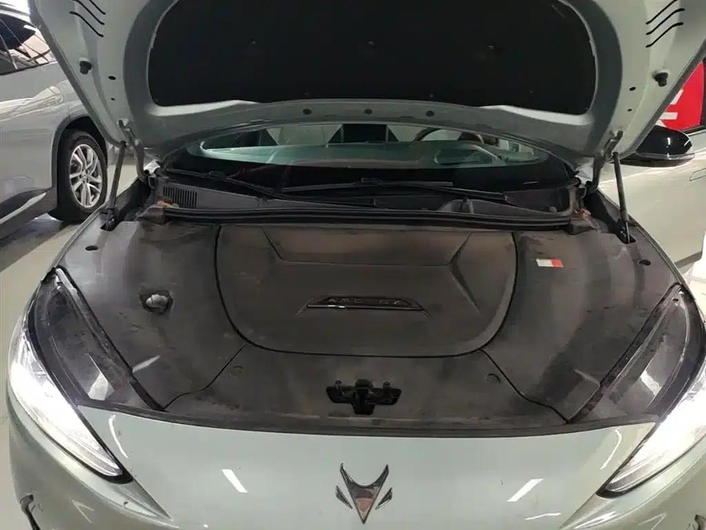 Jihu Alphard S 2023 735E+ Forest Edition 160kW — миниатюра 20