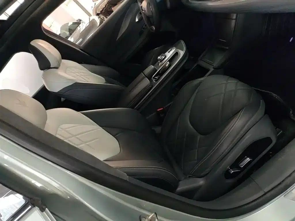 Jihu Alphard S 2023 735E+ Forest Edition 160kW — миниатюра 25