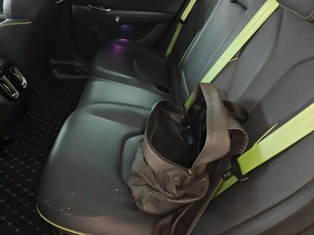 Geely Alphard S5 2024 Model, 708MAX 200kW — миниатюра 17