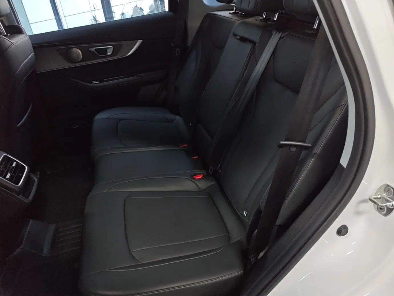 Chery Tiggo 8 PLUS 2024 Champion Edition 290TGDI DCT Hao Yue Version 5 Seats — миниатюра 20