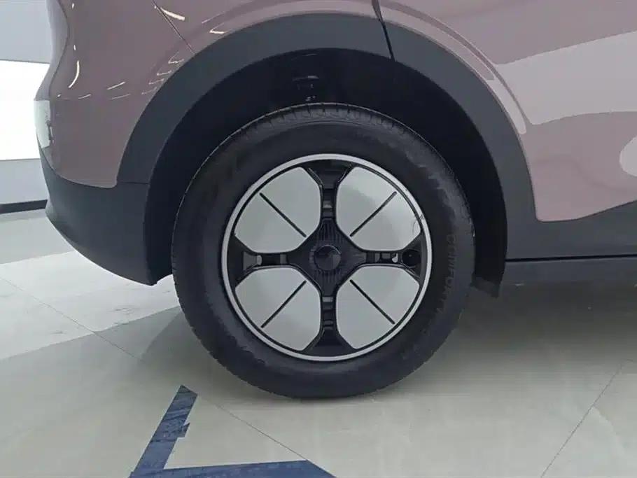 Star Wish 2025 310km Youth Edition — миниатюра 6
