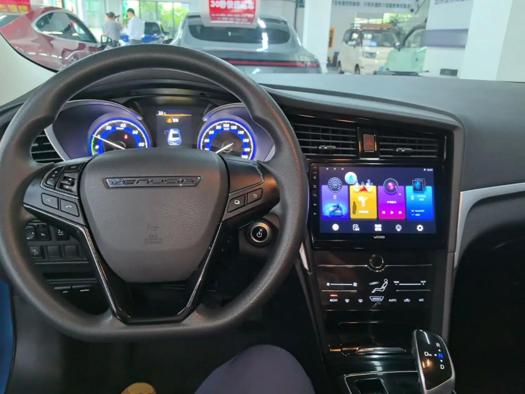 Venucia D60EV 2020 Standard Range Smart Drive Edition — миниатюра 13