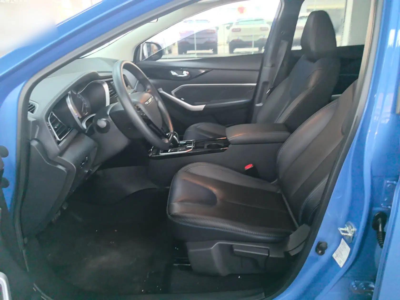 Venucia D60EV 2020 Standard Range Smart Drive Edition — миниатюра 18