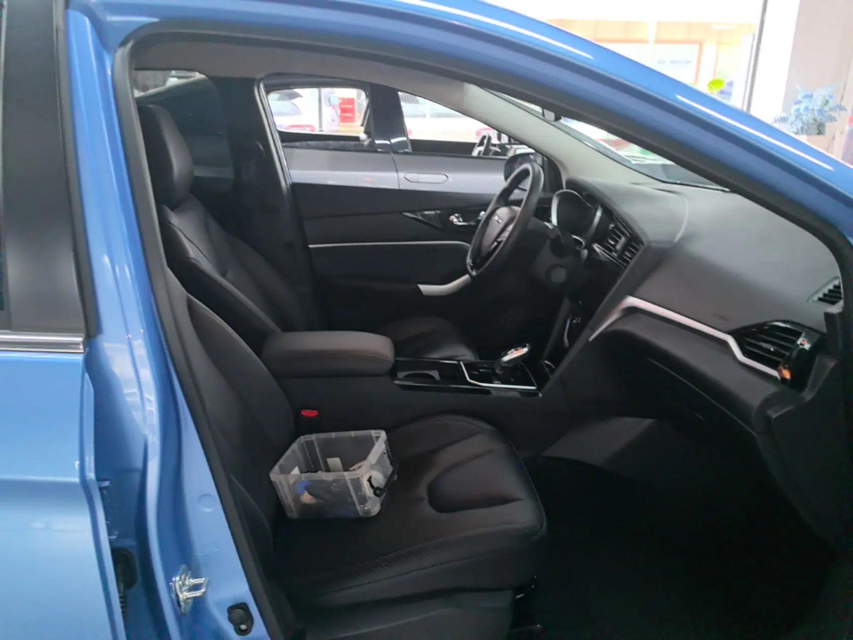 Venucia D60EV 2020 Standard Range Smart Drive Edition — миниатюра 23