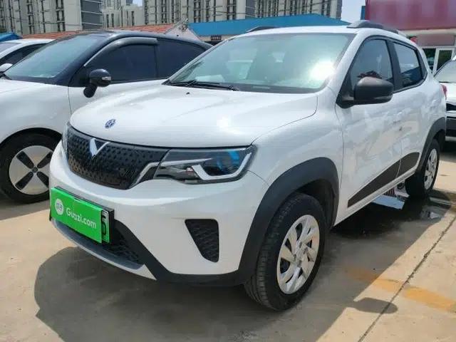 Venucia e30 2021 Elite Edition