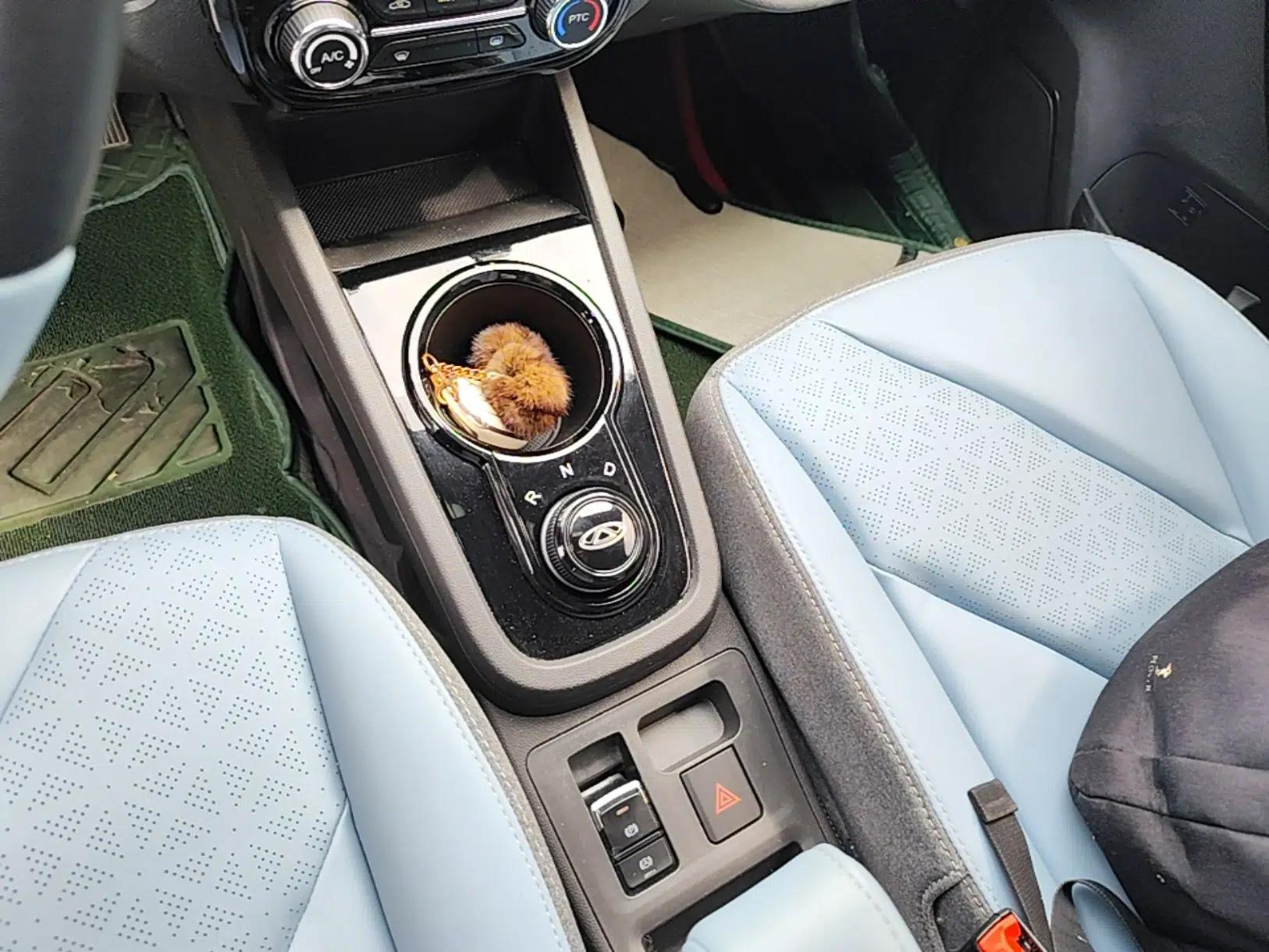 Chery QQ Little Ant 2022 Restyled Version Sweet Pink Edition Half-Sugar Version 30.6 kWh 30 kW 301 km — миниатюра 14