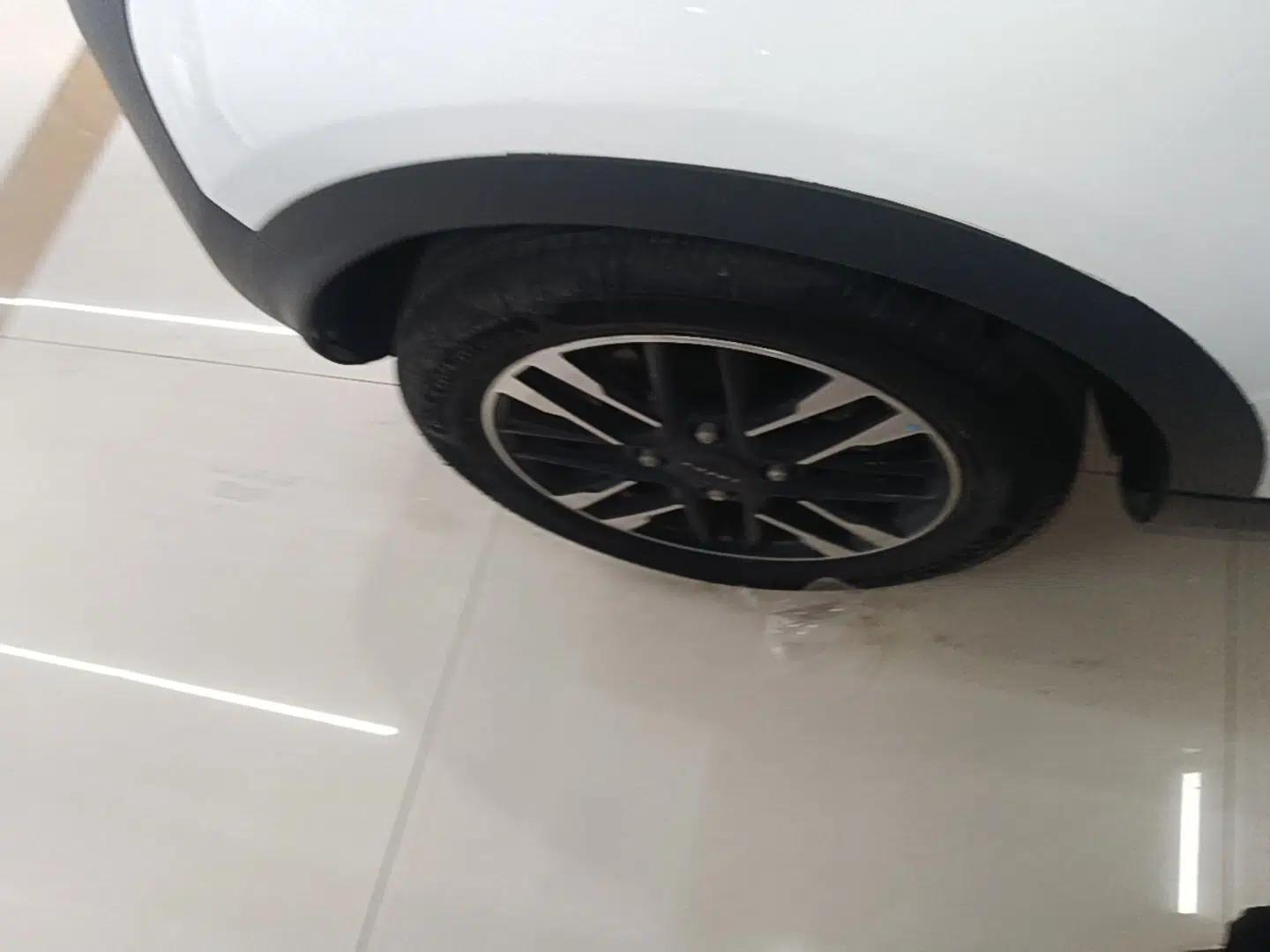 Chery QQ Little Ant 2024 251km True Love Edition — миниатюра 10