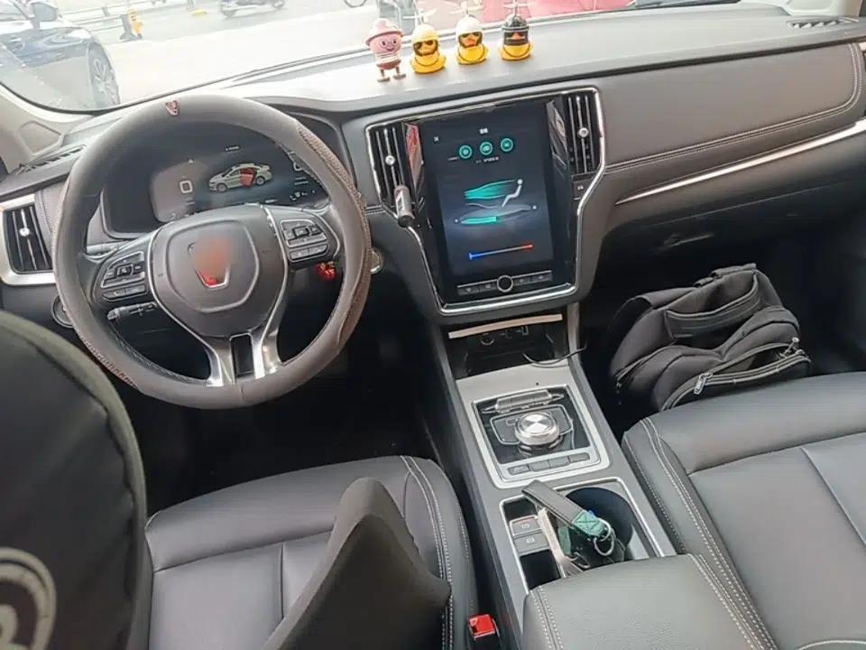 Roewe i6 New Energy 2019 PLUS 50T Internet Glory Flagship Edition — миниатюра 12