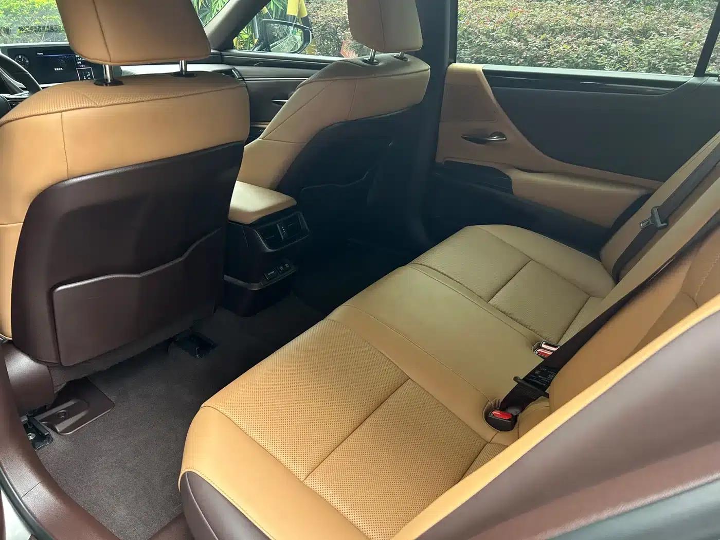 Lexus ES 2018 300h Premium Edition (China V emission standard) — миниатюра 10