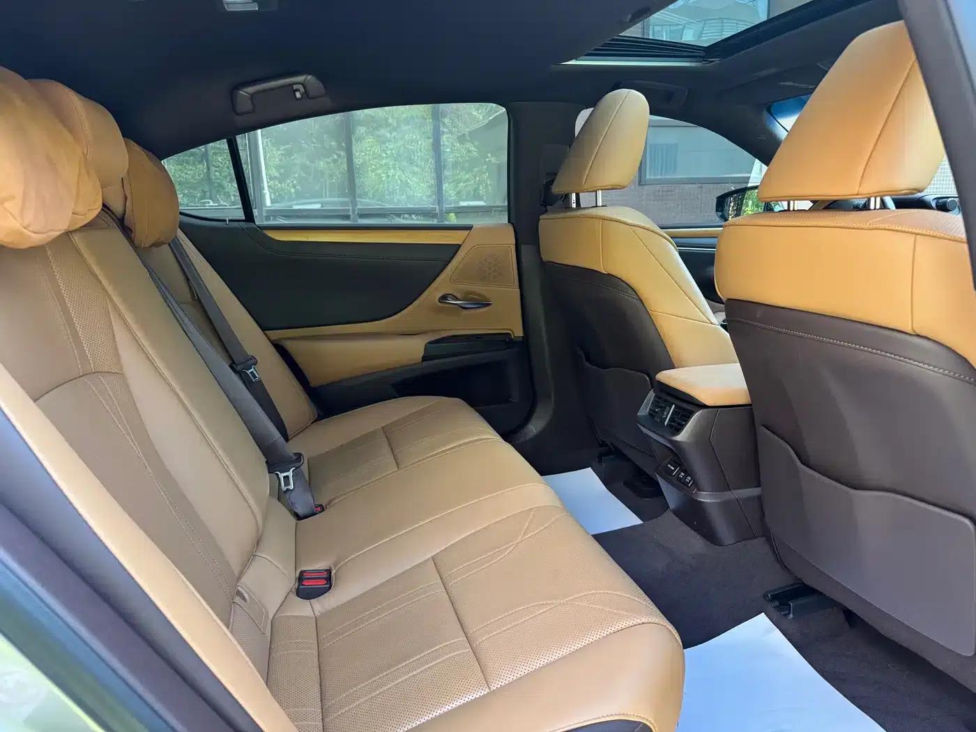 Lexus ES 2018 300h Premium Edition (China V emission standard) — миниатюра 13