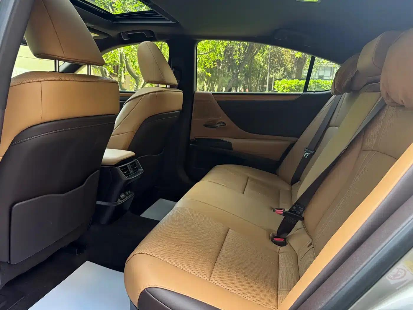 Lexus ES 2018 300h Premium Edition (China V emission standard) — миниатюра 14