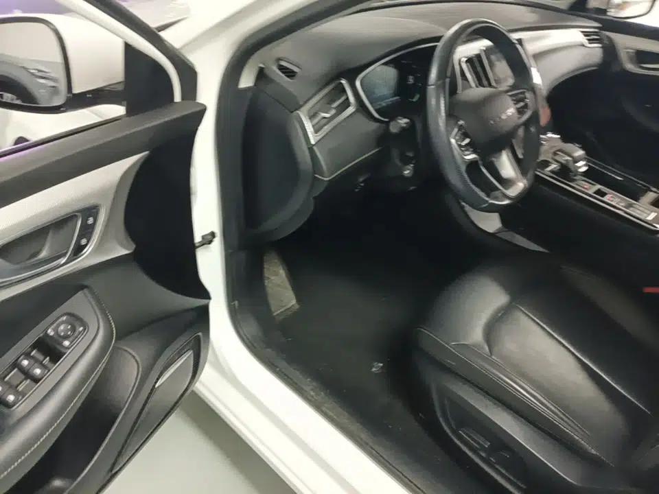 Roewe i6 MAX New Energy 2021 EV 500 Skyroof Flagship Edition — миниатюра 19