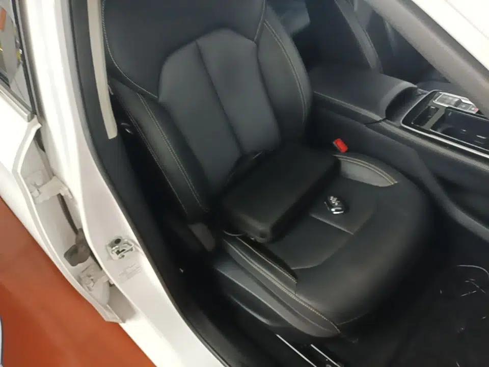 Roewe i6 MAX New Energy 2021 EV 500 Skyroof Flagship Edition — миниатюра 23