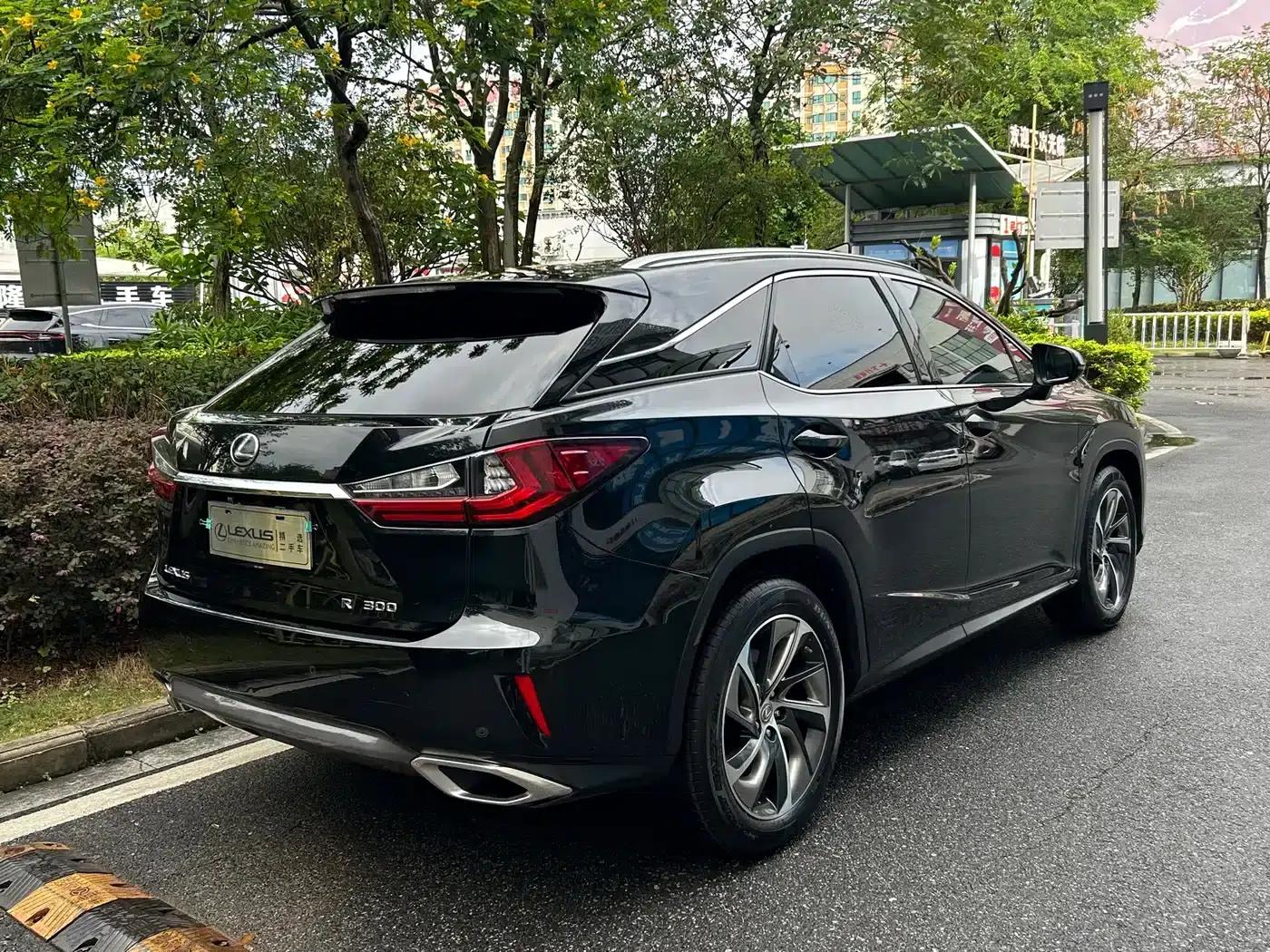 Lexus RX 2016 300 AWD Elegant Edition (China V Emission Standard) — миниатюра 4