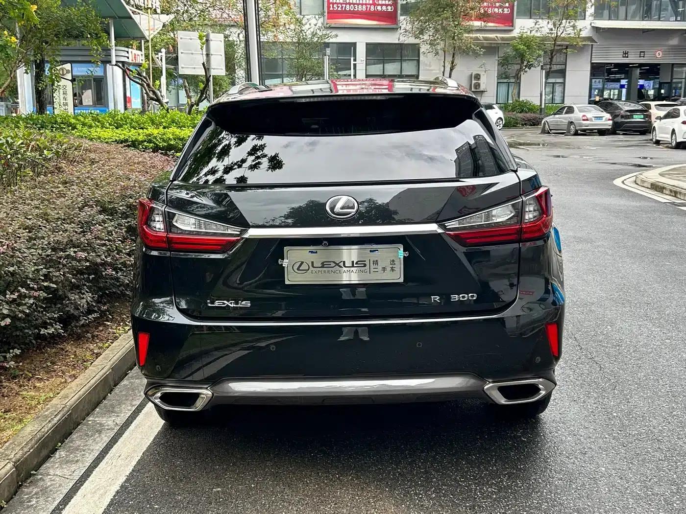 Lexus RX 2016 300 AWD Elegant Edition (China V Emission Standard) — миниатюра 5