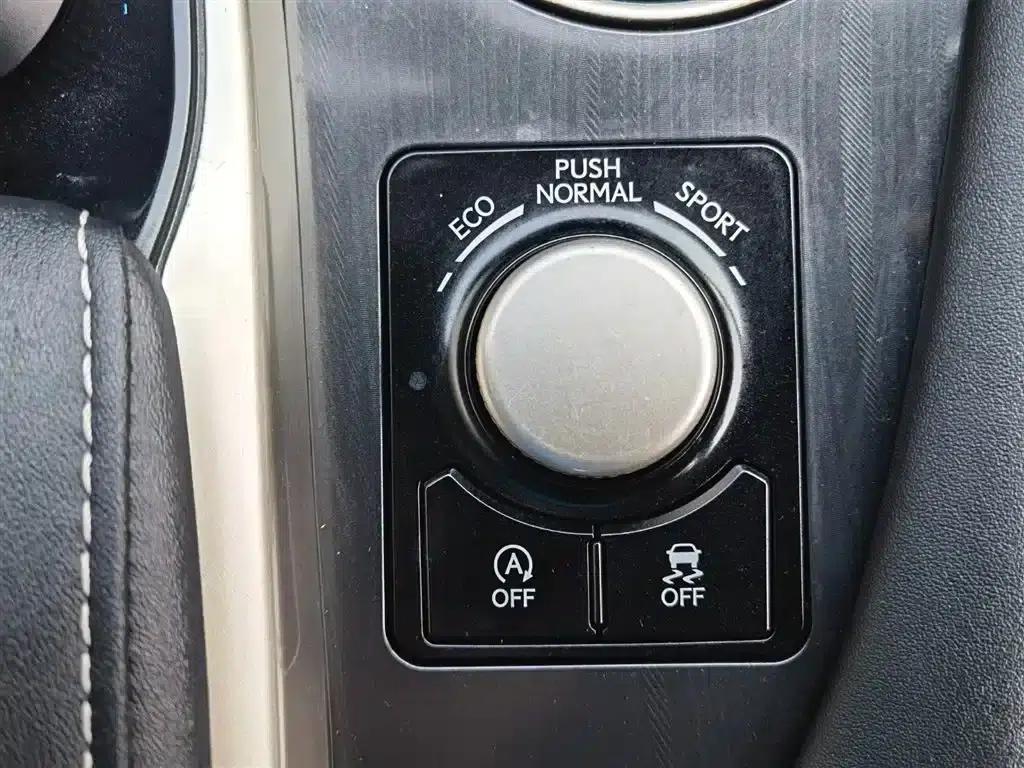 Lexus RX 2016 300 2WD Elite Edition (China V Emission Standard) — миниатюра 20
