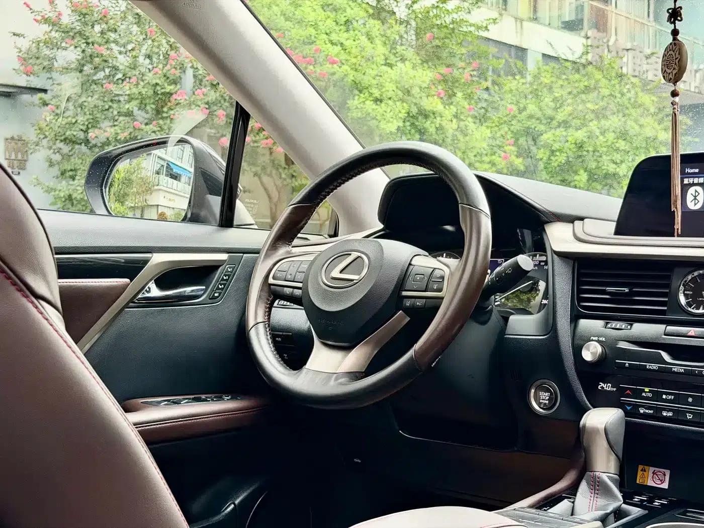 Lexus RX 2020 Facelift 300 AWD Elegant Edition — миниатюра 15