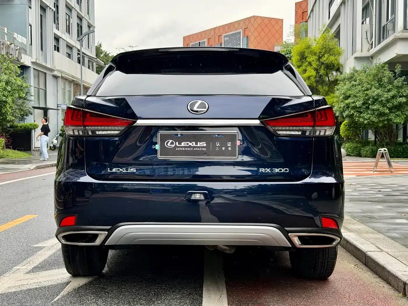 Lexus RX 2020 Facelift 300 AWD Elegant Edition — миниатюра 19