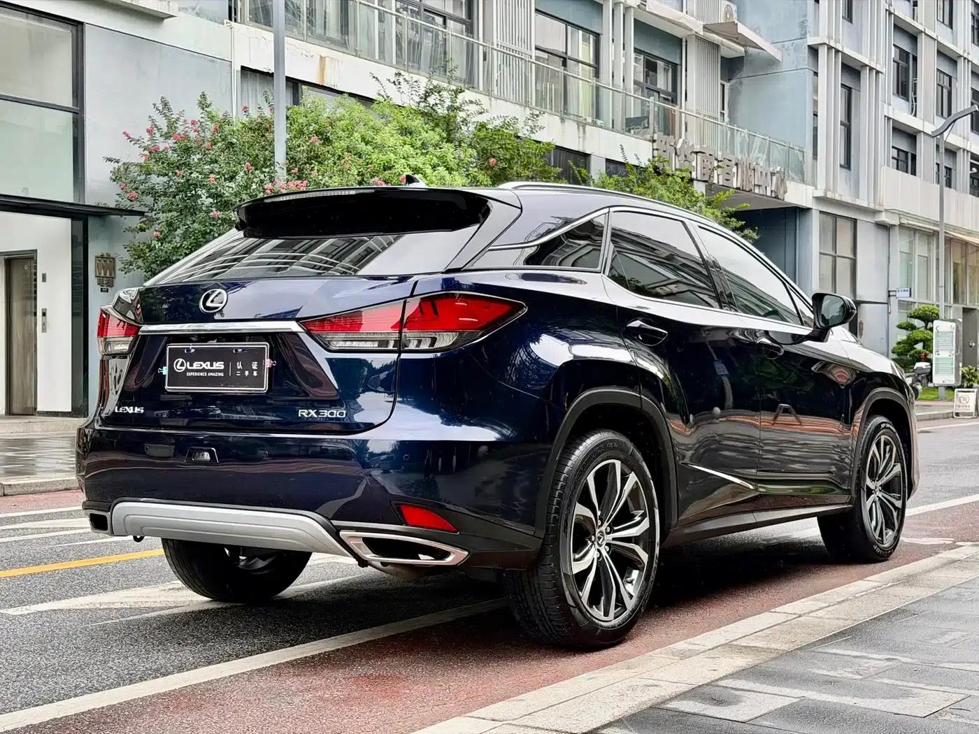 Lexus RX 2020 Facelift 300 AWD Elegant Edition — миниатюра 21