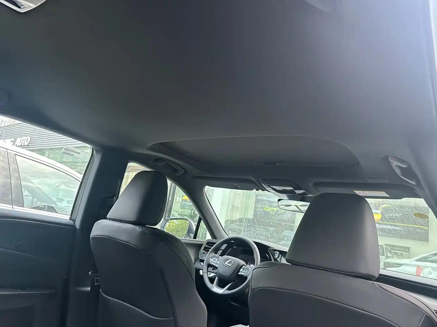 Lexus RX 2026 300 AWD Luxury Edition — миниатюра 10