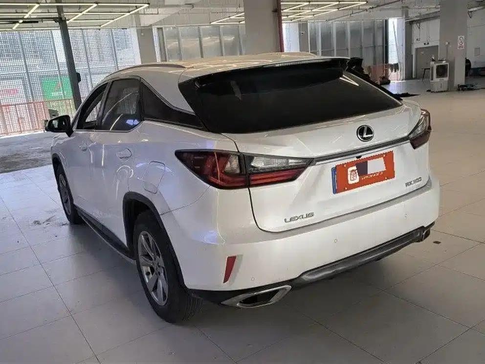 Lexus RX 2016 300 2WD Comfort Edition (China V emission standard) — миниатюра 4